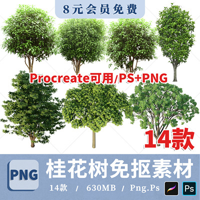 桂花树PS效果图素材PNG免抠透明底桂花鸟瞰PSD素材procreate贴图