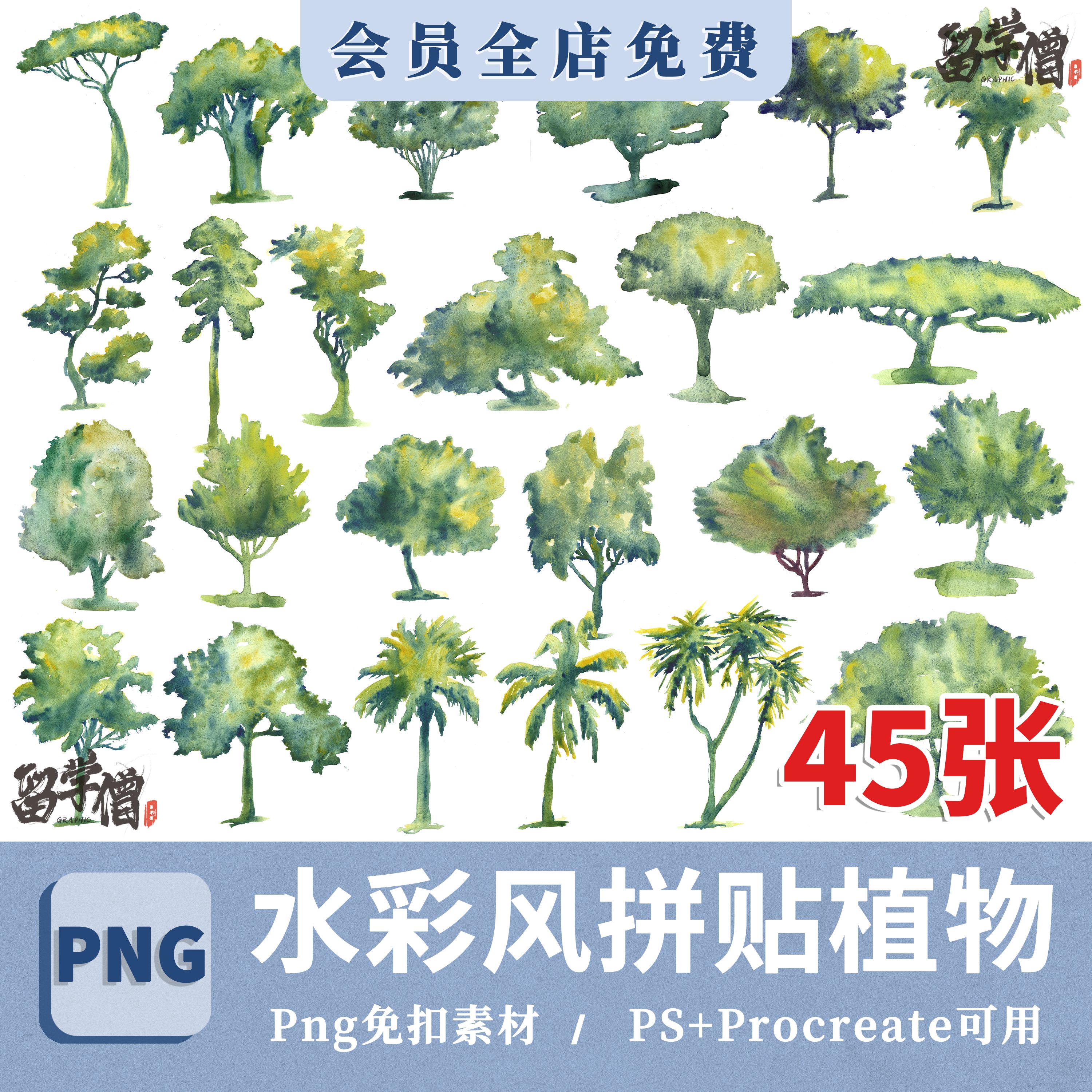 水彩手绘绿树植物树木插画园林景观环境效果图装饰png免抠图素材