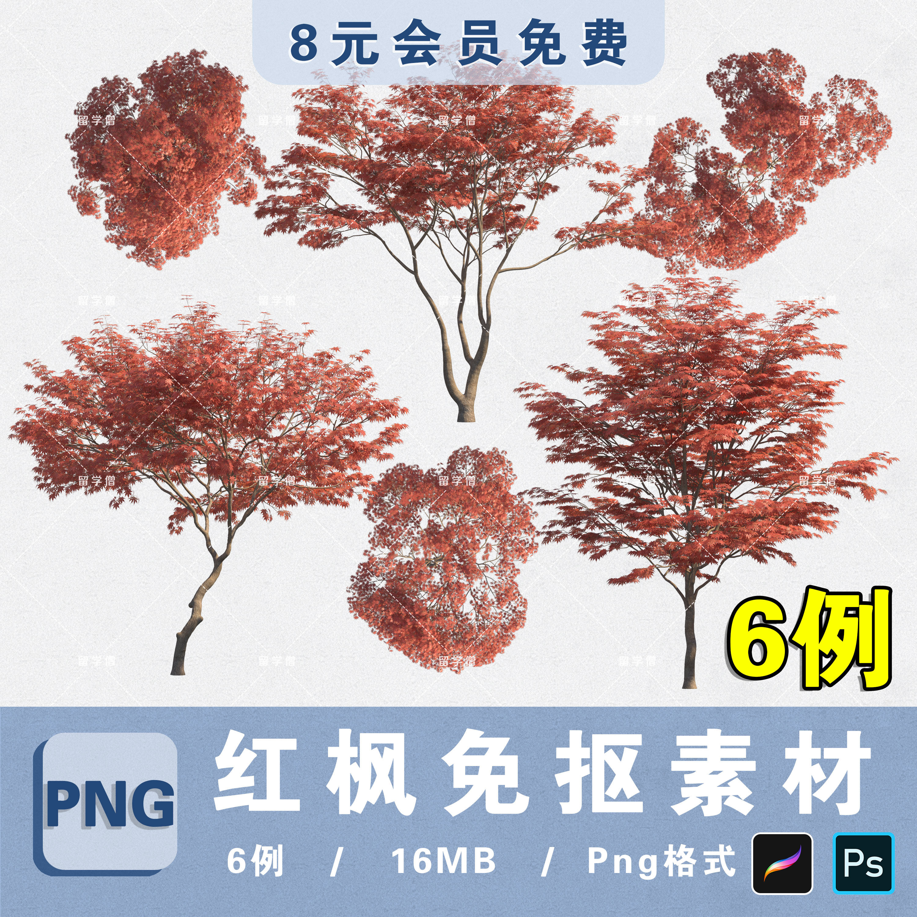景观色叶乔木红枫png高清免抠植物平立面ps分层素材procreate贴图