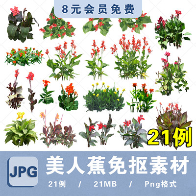 水生植物美人蕉高清PNG免抠植物ps美人蕉平立面贴图植物拼贴素材