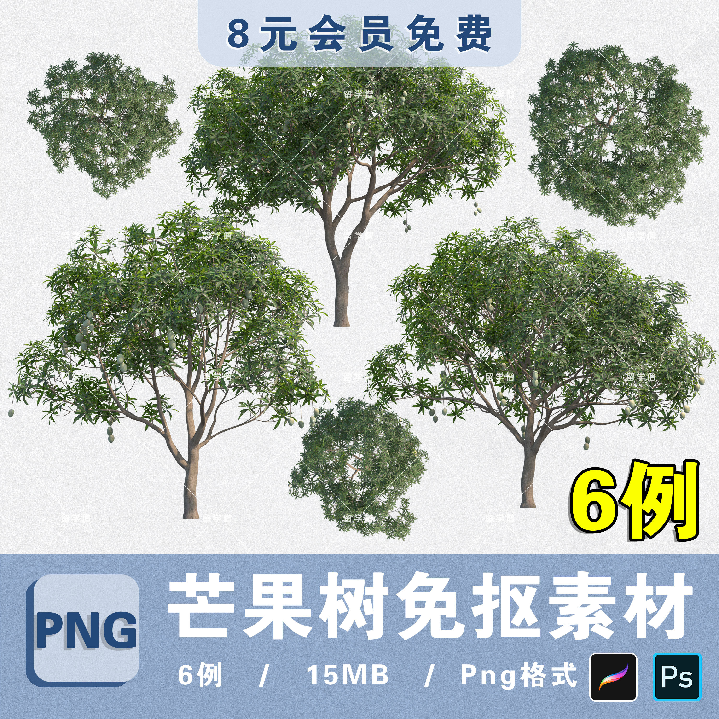 芒果树植物素材无背景png芒果树平立面免抠ps素材procreate贴图片