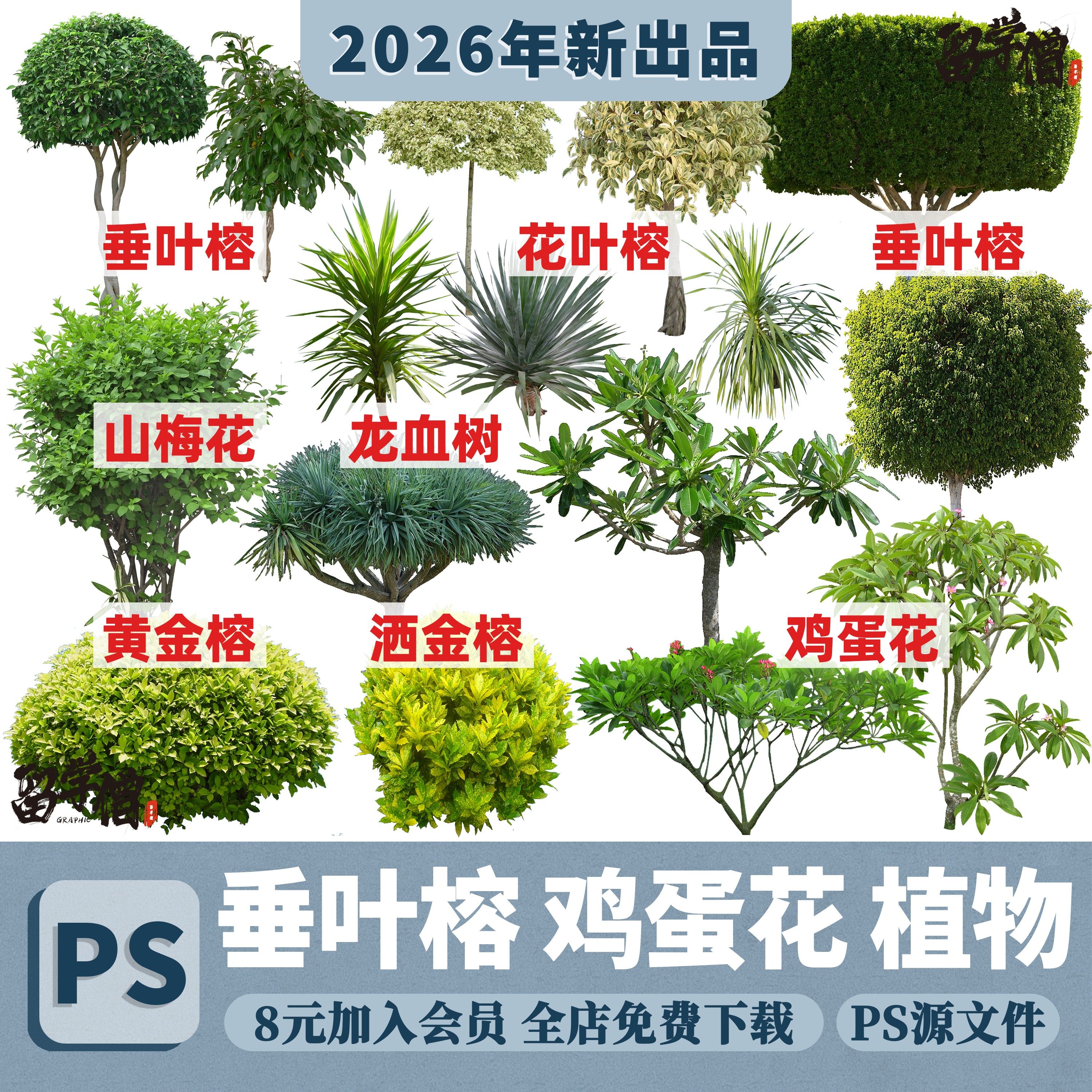 PS垂叶蓉花叶榕黄金榕鸡蛋花龙血树洒金榕树园林植物PNG免扣素材,商务/设计服务,设计素材/源文件,淘宝优惠券,粉丝福利购,淘宝优惠卷