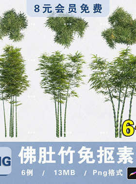 竹林竹丛佛肚竹PNG高清免抠佛肚竹平立面PS分层素材procreate贴图