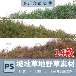高清PS山坡野草坡度草地观赏花草组团园林景观效果图PSD分层素材
