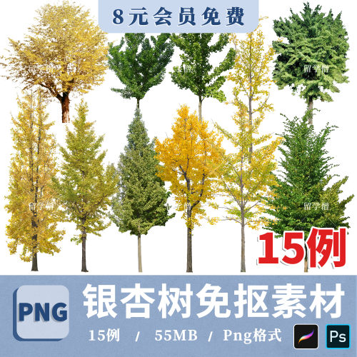 秋季观叶乔木银杏树白果树秋叶落叶植物分层高清图片免抠psd素材