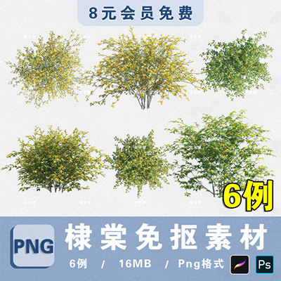 花境花灌木棣棠PNG高清免抠棣棠平立面PS分层素材procreate贴图库