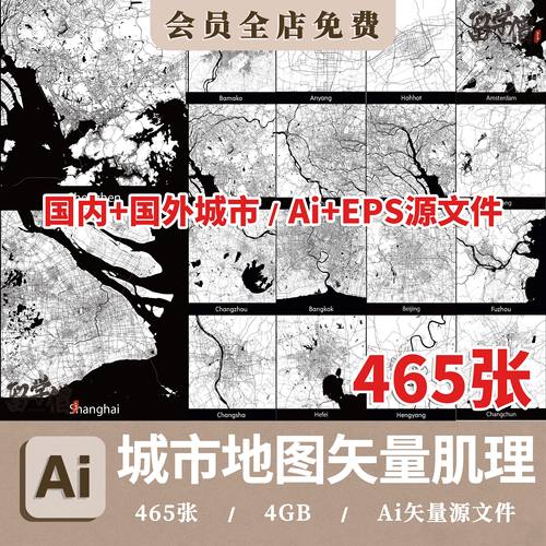 PS/AI城市地图矢量肌理线条北上广深国内外地图线区位分析eps素材