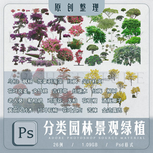 景观植物ps乌桕枫杨红枫鸡蛋花龙柏苦楝女贞石楠黄花风铃木树素材