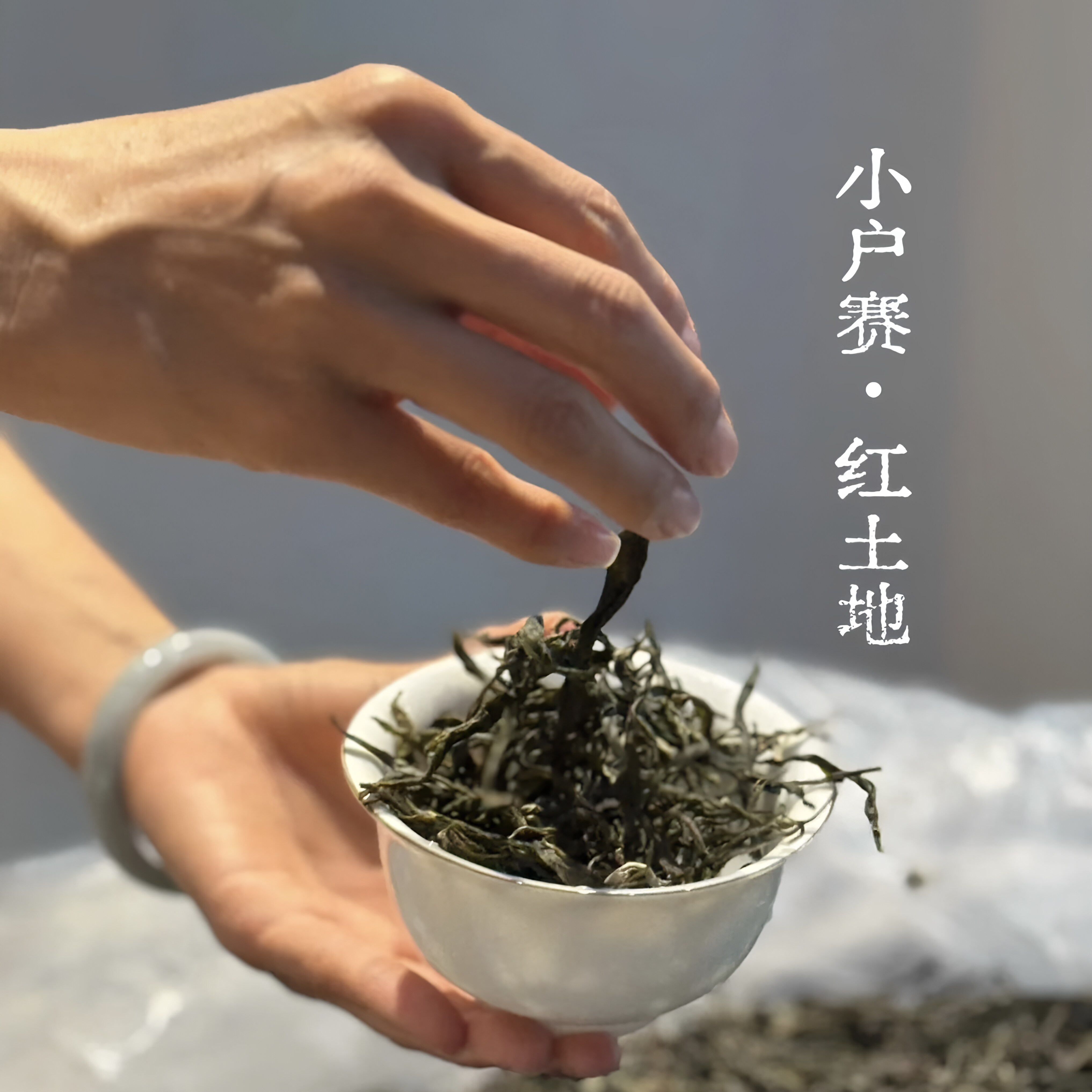云南普洱茶普洱茶散茶小户赛普洱茶生茶500克勐库茶茶气重