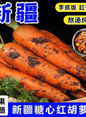 【新疆糖心红胡萝卜】手抓饭配料红色胡萝卜餐饮直供新货农家自种