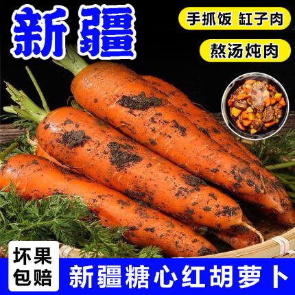 【新疆糖心红胡萝卜】手抓饭配料红色胡萝卜餐饮直供新货农家自种