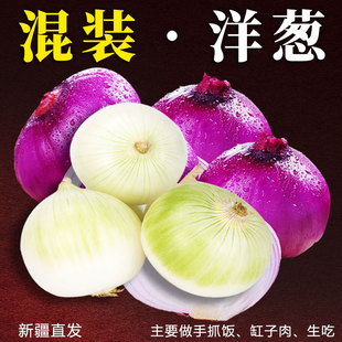 新疆白紫洋葱混装】皮牙子缸子肉手抓饭配菜红皮农家自种圆葱蔬菜