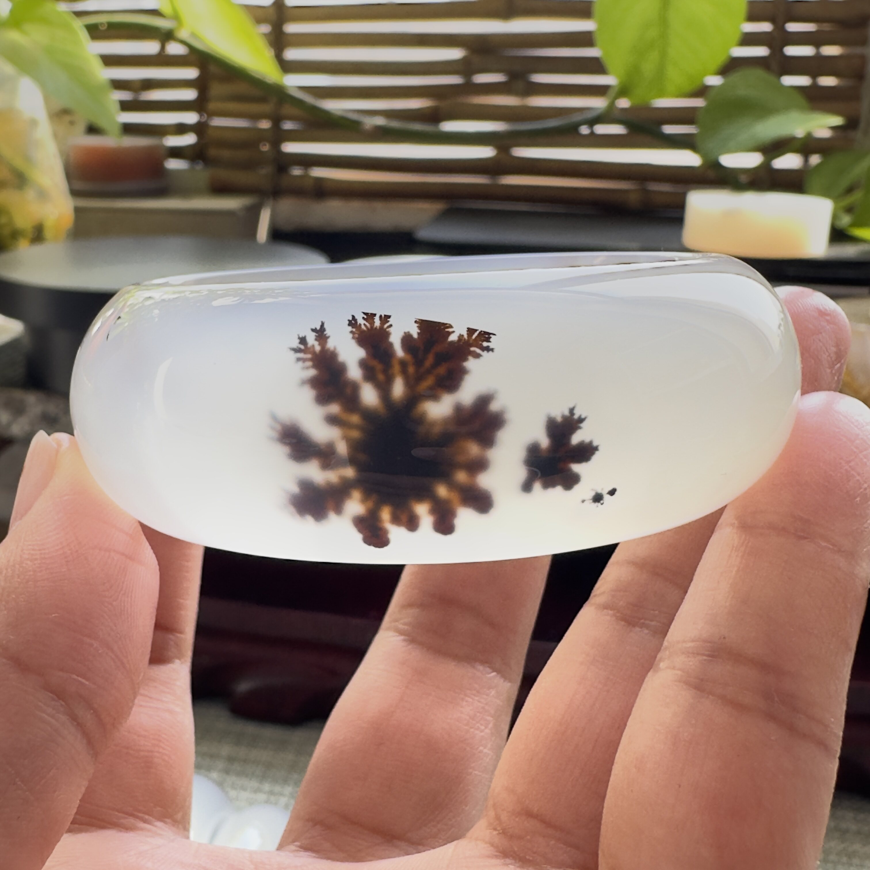 花语玉髓 天然海洋玉髓马料草花蝶恋花玛瑙手镯完整花圈口54mm