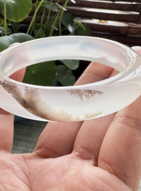 花语玉髓 天然海洋玉髓马料水墨草花意境玛瑙手镯圈口56mm