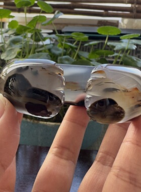 花语玉髓 天然巴西老料水墨黑花满圈景观玛瑙手镯开口猫爪56.5mm