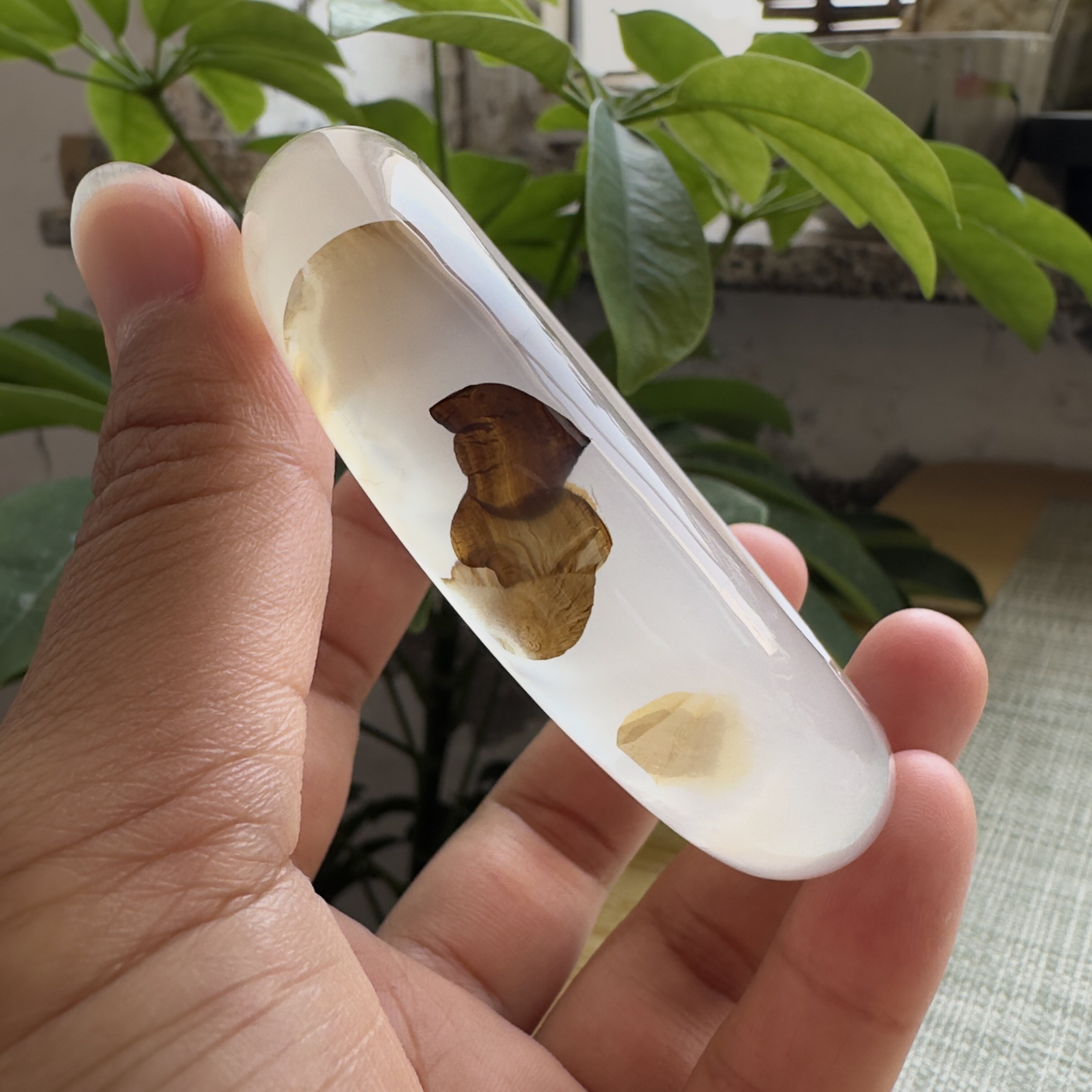 花语玉髓 天然海洋玉髓马料意境草花象形玛瑙手镯圈口58mm