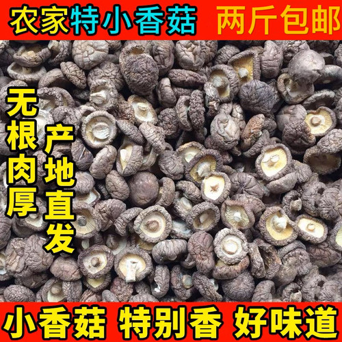 新鲜农家干货金钱菇小号金钱菇