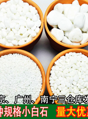 天然小白石白色鹅卵石雨花石多肉铺面石子鱼缸造景植物盆栽小石子