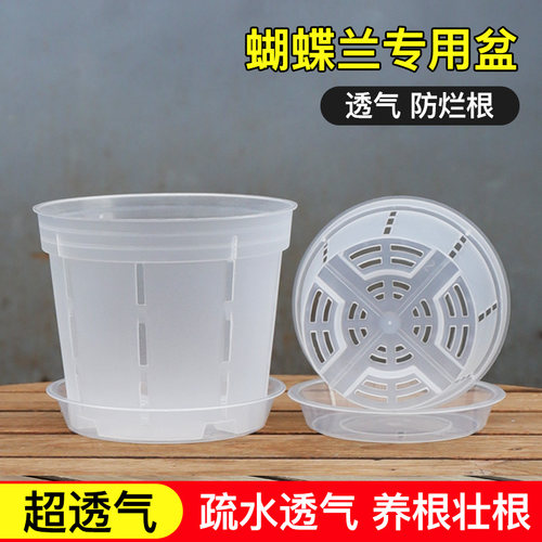 透明可视兰花专用盆透气控根盆