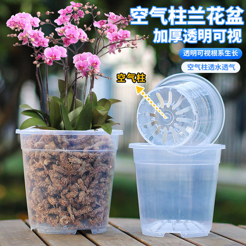 青山盆兰科专用加厚加硬塑料透气透明PP材质花盆适合蝴蝶兰君子兰 - 封面