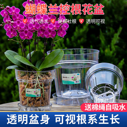 透明PC控根花盆兰花水苔蝴蝶兰透气蝴蝶兰桌面阳台塑料树脂花盆