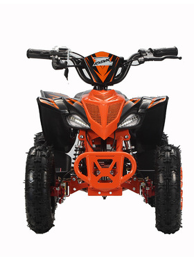 迷你四轮农用自行车儿童 800W 电动沙滩车 1000W 袖珍儿童沙滩车