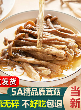 5A精品鹿茸菇干货云南优质鹿茸菌