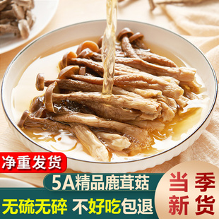 5A精品鹿茸菇干货非特级500g新鲜高山鹿茸菌菇蘑菇香菇干货特产