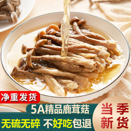 5A精品鹿茸菇干货非特级500g新鲜高山鹿茸菌菇蘑菇香菇干货特产