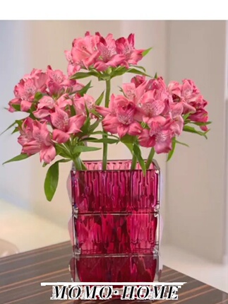Momo·High-End Transparent Crystal Glass Vase Ins-Style Flower Arrangement Hydroponic Decoration
