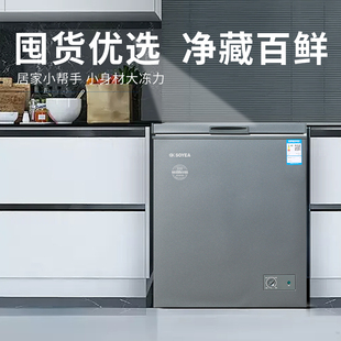 索伊BG-149C/D精制铜管食品级内胆一级能效冷柜