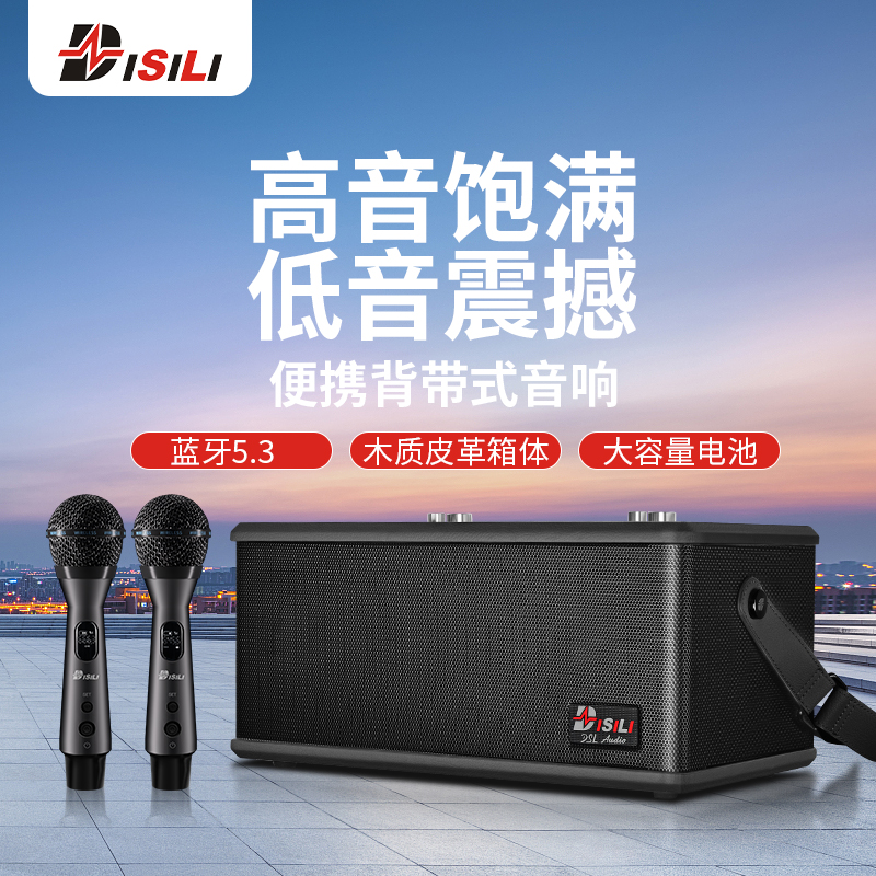 DISILI迪仕力音响   DS205专业级娱乐音箱，便携式音箱，手提音