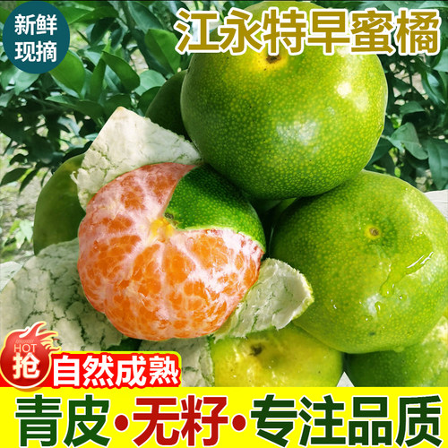 江永特早蜜桔10斤新鲜应当季橘子时令水果青皮蜜橘甜桔子整箱包邮