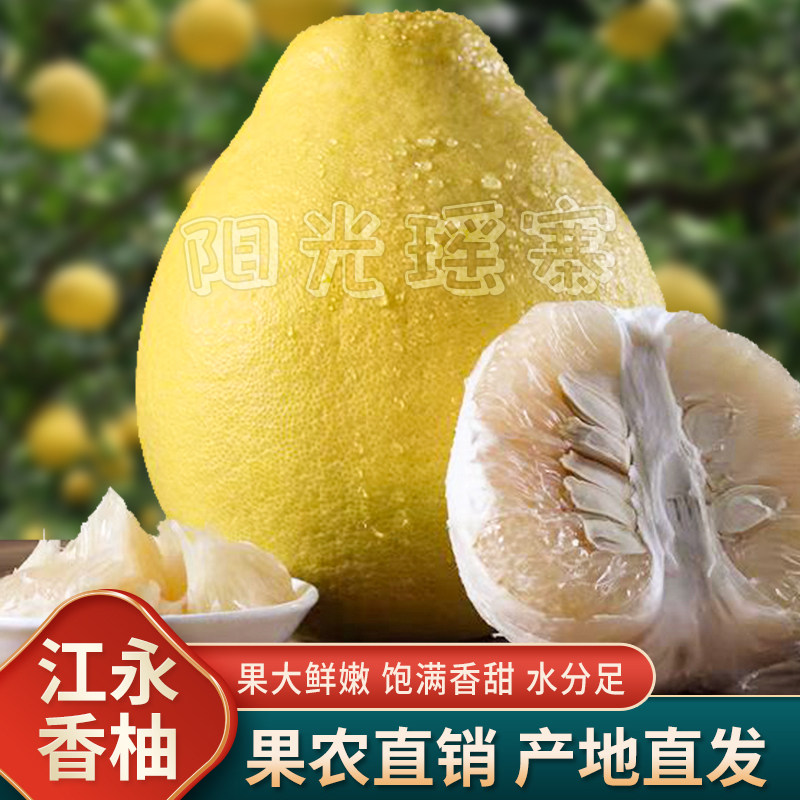 正宗湖南江永香柚老树纯甜沙田柚新鲜冰糖大柚子编织永州特产包邮
