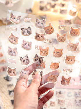 纸先生贴纸猫猫头系列