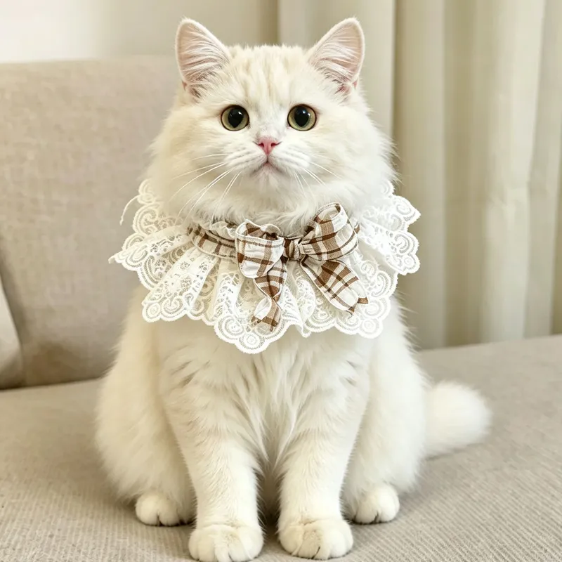 猫狗通用蕾丝领结口水巾项圈拍照