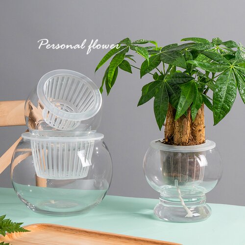 简约现代水培植物玻璃花瓶