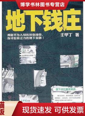 正版现货9787543063761地下钱庄  壬甲丁　著  武汉出版社