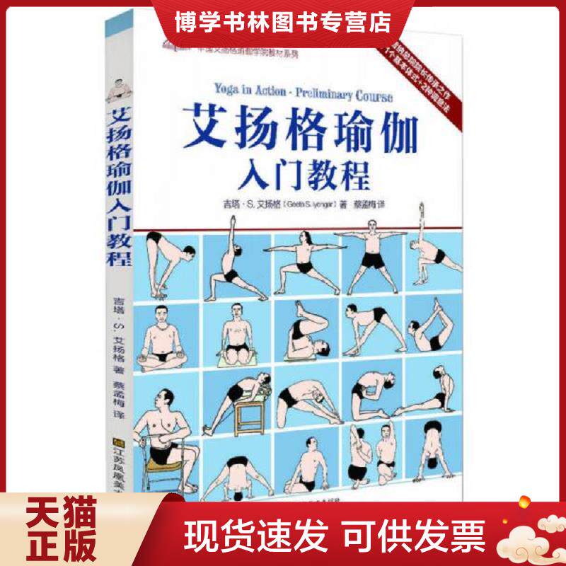 正版现货9787534444852艾扬格玩偶 瑜伽墙绳使用的探索方法 辅具辅助 瑜伽习练教材 教练培训教程 初学者到精进 挂绳辅助绳倒立绳