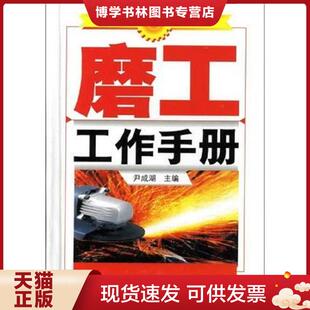 化学工业出版 尹成湖主编 社 现货9787502597399磨工工作手册 正版