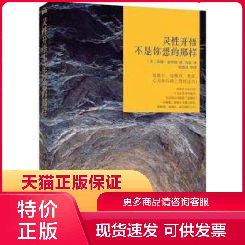 正版现货9787508074405灵性开悟:不是你想的那样 杰德·麦肯纳著,鲁宓