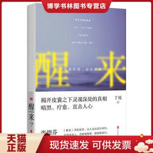 正版现货9787550293830醒来:凡真实的,必会相遇【八成新】 丁锐 著 北京联合出版公司