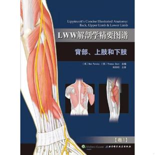 美 本·潘斯基 著 现货9787530478356LWW解剖学精要图谱：背部 欧 ThomasGest 上肢和下肢 托马斯·格斯特 正版 BenPansky
