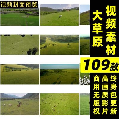 大草原视频丨可商用视频模板素材无水印mp4格式抖音快手短视频