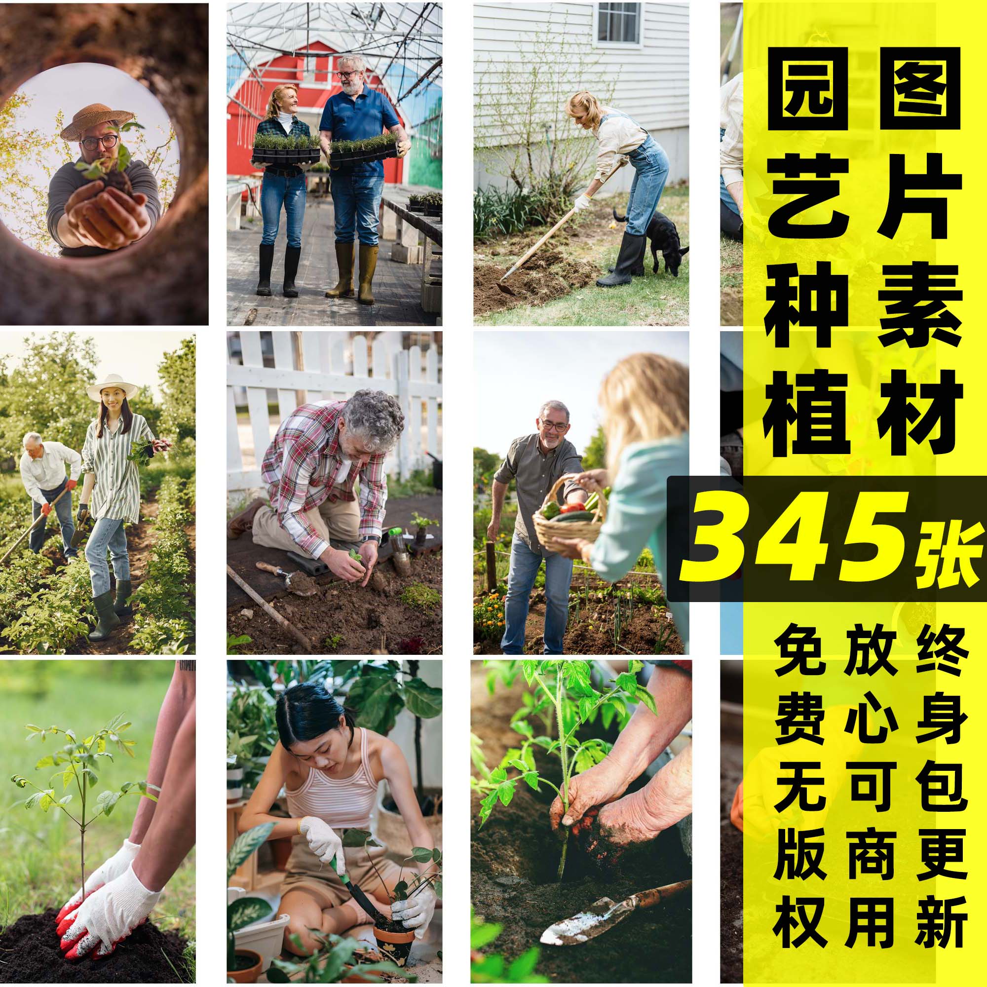 种植丨可商用家庭农场果树多肉植物种植养护摄影图片素材国外图片