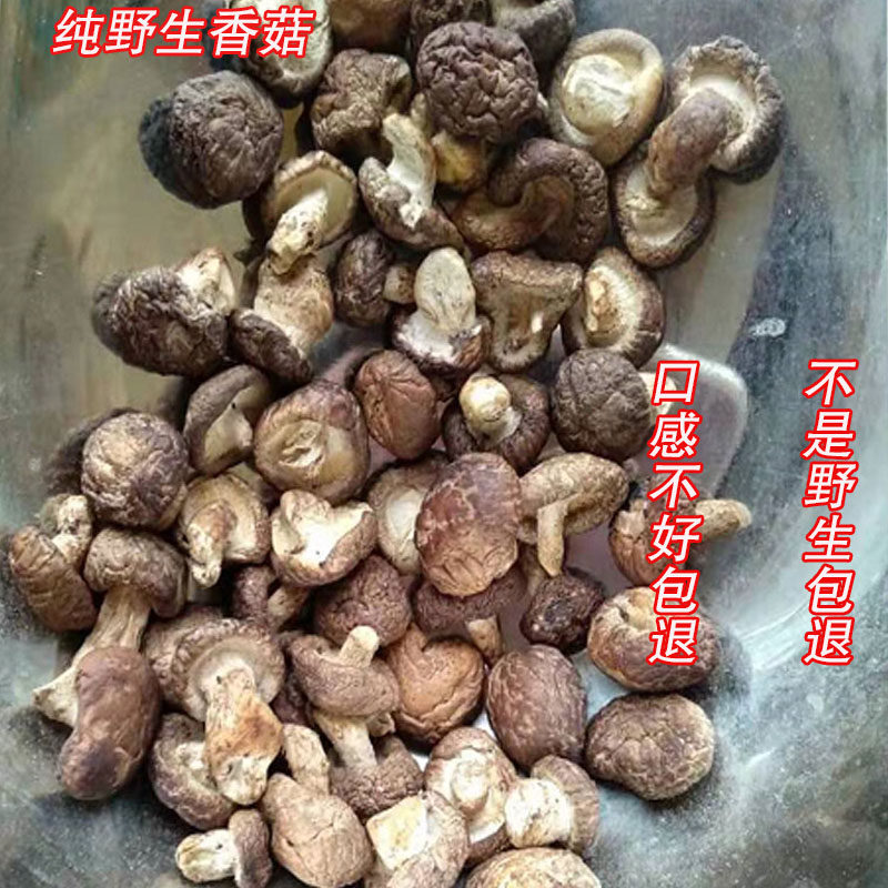 新鲜农产品自然晒干小香菇干货金钱菇食用深山蘑菇散装特产500g