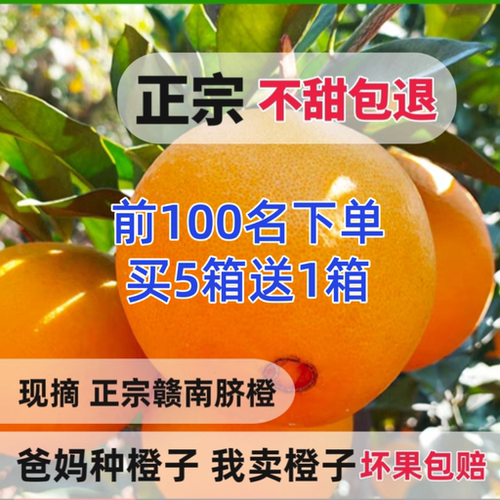 赣南脐橙新鲜现摘9斤寻乌超甜橙