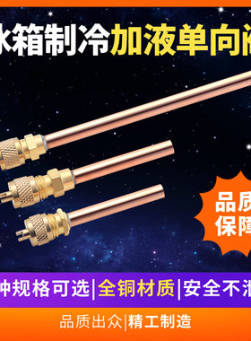 冰箱冰箱加氟加液嘴充注阀