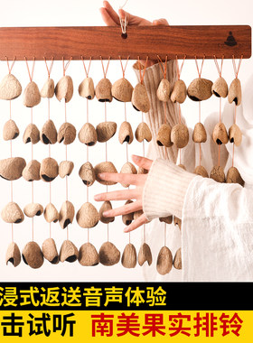梵木果果壳音束音乐会伴奏乐器