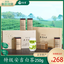安吉白茶茶叶2024新茶250g正宗明前特级绿茶官方旗舰店官网礼盒装